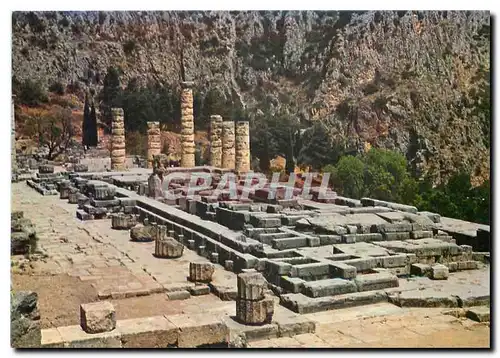 Cartes postales moderne Delphet Vue du temple d'Apollon