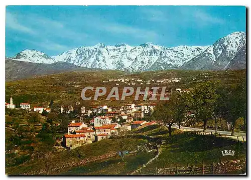 Moderne Karte Calacuccia Corse Vue generale