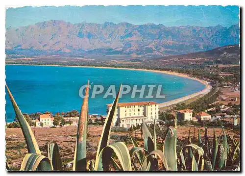 Cartes postales moderne Calvi La Plage et le fond du Golfe