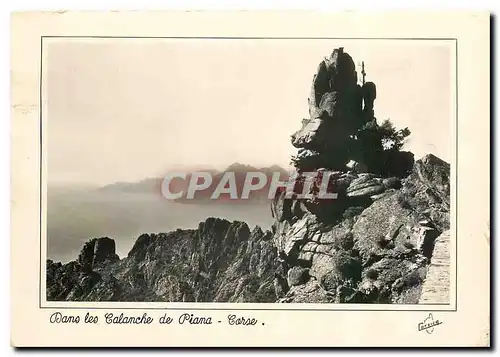 Cartes postales moderne La Corse Ile de Beaute