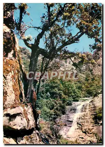 Cartes postales moderne Corse Bocognano Vue pittoresque des environs de Bocognano