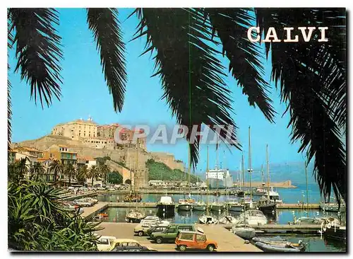 Cartes postales moderne La Corse Oasis de Beaute Calvi Corse