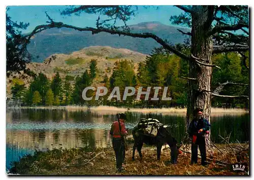 Moderne Karte Charmes et Couleurs de la Corse Lac de Crena Ane Mule