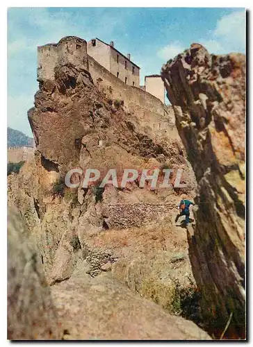 Cartes postales moderne Corse Ile de Beaute Corte La Citadelle