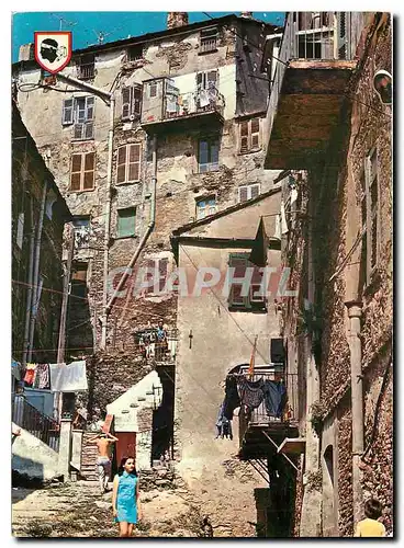 Cartes postales moderne Corse Ile d'Amour Vieille rue typique