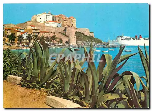 Moderne Karte Corse Ile de Beaute Paradis d'ete Calvi