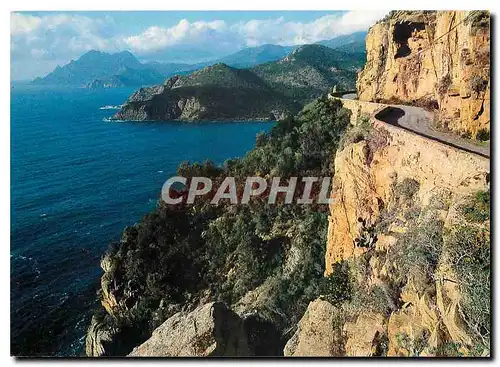 Cartes postales moderne Corse Ile de Beaute Paradis d'ete sur la route de Calvi