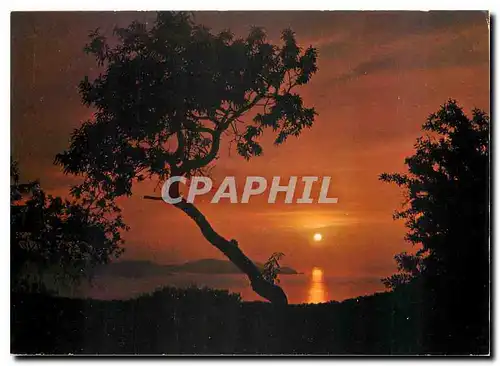 Cartes postales moderne Corse Ile de Beaute Paradis d'ete Coucher de soleil sur la Pointe de Revellata