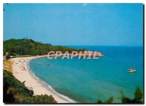 Cartes postales moderne Corse Ile de Beaute Paradis d'ete Entre Solenzara et Favone Plage de Canella