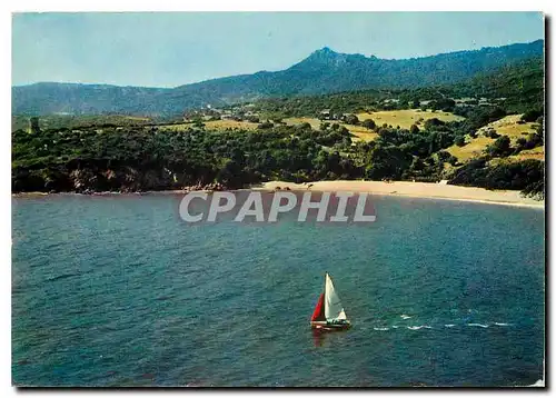 Cartes postales moderne La Corse Ile de Beaute Paradis d'ete Joie de la Mer