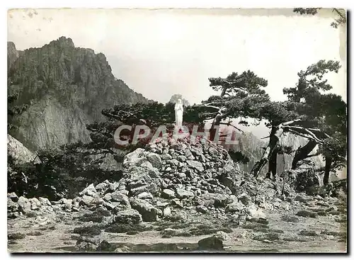 Cartes postales moderne La Corse Ile de Beaute