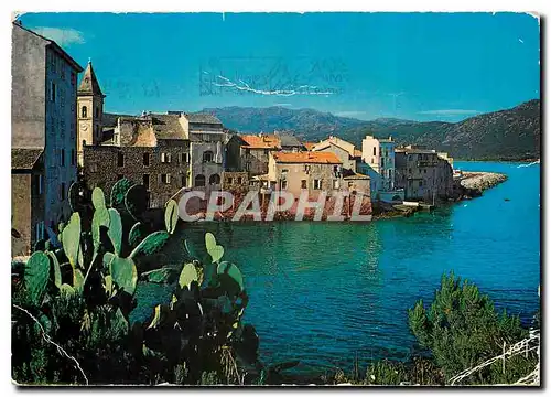 Moderne Karte La Corse Oasis de Beaute Saint Florent