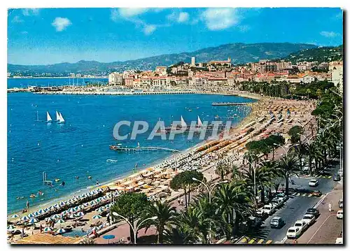 Cartes postales moderne La Cote d'Azur Cannes AM