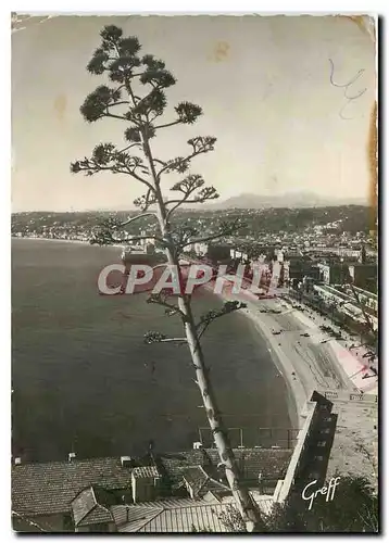 Cartes postales moderne Nice Alpes Maritimes La Baie des Anges