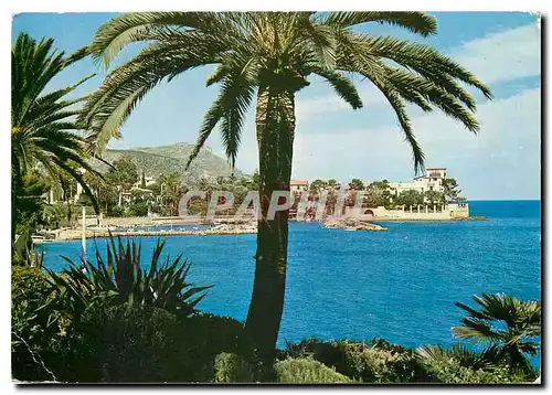 Cartes postales moderne La Cote d'Azur Beaulieu sur Mer