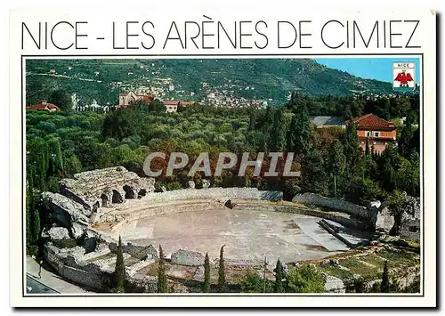 Cartes postales moderne Cote d'Azur French Riviera Nice Les arenes de Cimiez