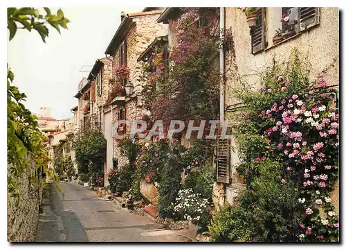 Cartes postales moderne Antibes Alpes Maritimes La rue du Haut Castelet