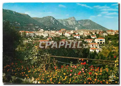 Cartes postales moderne La Cote d'Azur Vence la Jolie Vue generale