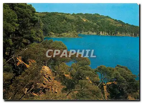 Cartes postales moderne Presqu'ile de Giens Var Pinedes et Rochers cote sud