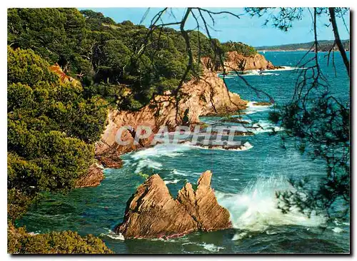 Moderne Karte Presqu'ile de Giens Var Falaises de la Polynesie