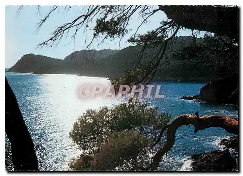 Moderne Karte Presqu'ile de Giens Var La Cote Sauvage au coucher de soleil