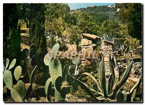 Cartes postales moderne Calanques des Issambres Var Jardin Exotique a l'entree du Village Provencal