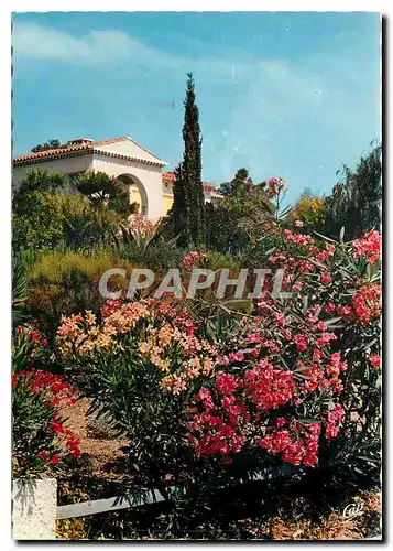 Cartes postales moderne Cote d'Azur Carrefour Mondial du Tourisme