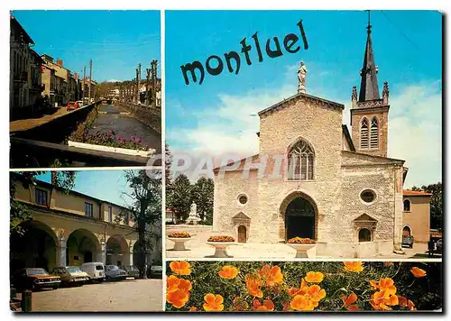Cartes postales moderne Montluel Ain