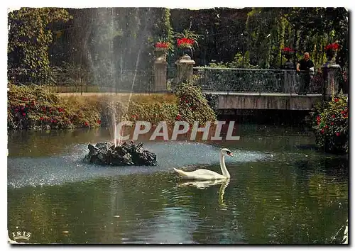 Cartes postales moderne Vichy Allier Ville sejour Cygne
