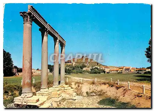 Cartes postales moderne Riez la Romaine Alpes de Haute Provence