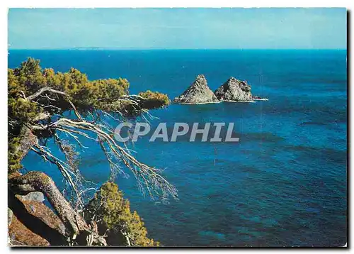 Cartes postales moderne Cote d'Azur Varoise Les deux Freres