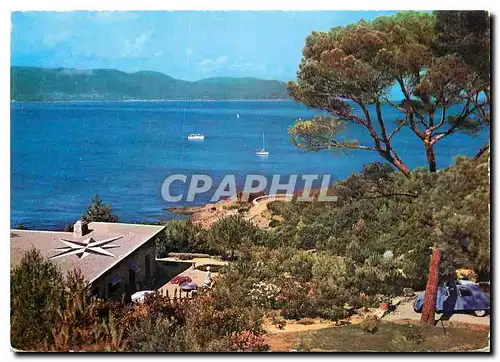 Cartes postales moderne Environs du Lavandou Bormes les Mimosas Var