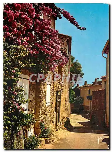 Moderne Karte Bormes Les Mimosas AM Vieilles maisons fleuries de Bougainvillees