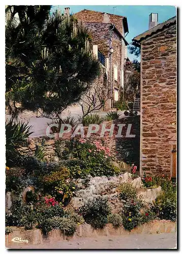 Cartes postales moderne Cote d'Azur France Bormes les Mimosas Var Vieille rue