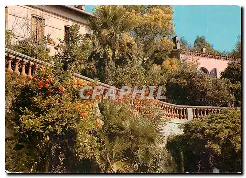 Cartes postales moderne Bormes les Mimosas La Perle du Var