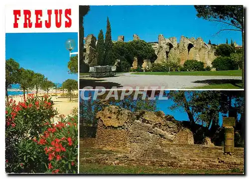 Cartes postales moderne Frejus Var Frejus Plage Les Arenes