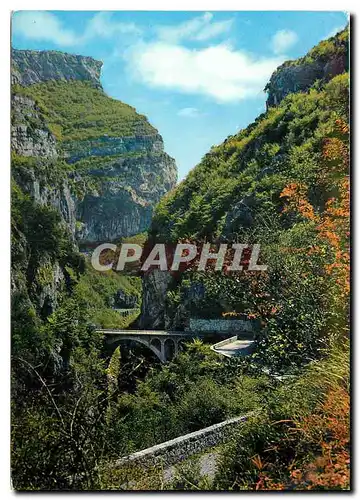 Cartes postales moderne La Cote d'Azur Les Gorges du Loup