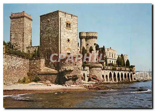 Cartes postales moderne La Napoule Alpes Maritimes Le Chateau