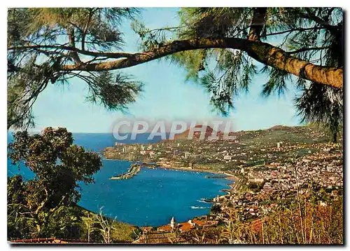 Cartes postales moderne Funchal Madeira Vista Oeste
