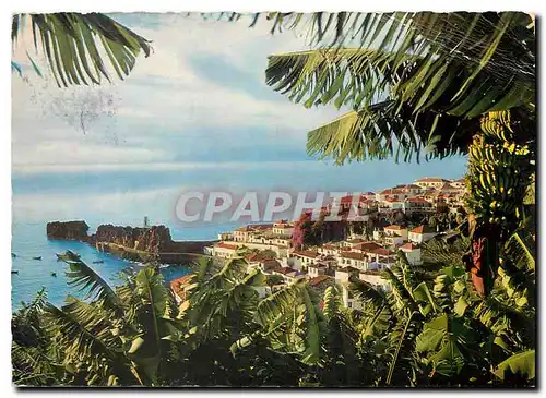 Cartes postales moderne Madeira Camara de Lobos aldeia piscatoria