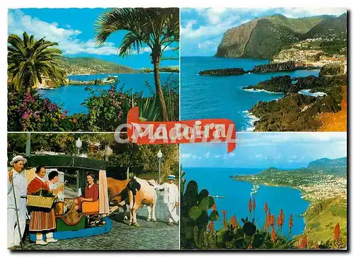 Cartes postales moderne Madeira As melhores vistas de Madeira