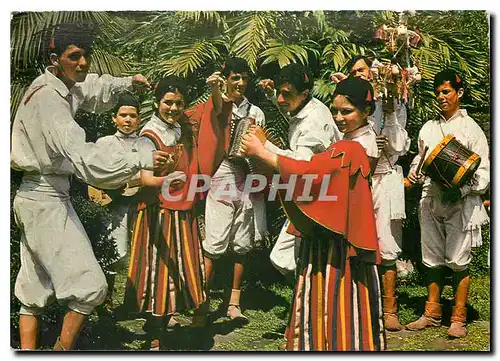 Cartes postales moderne Madeira Dancas Folcloricas