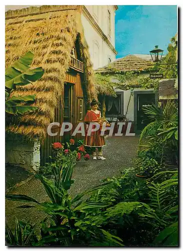 Cartes postales moderne Madeira Casa tipica