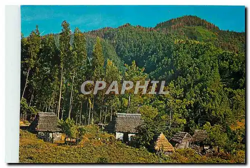 Cartes postales moderne Santana Madeira Casas tipicas