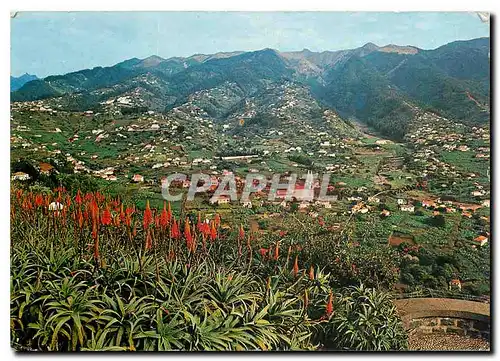 Cartes postales moderne Ilha de Madeira Portugal Vista du Pico des Barcelos