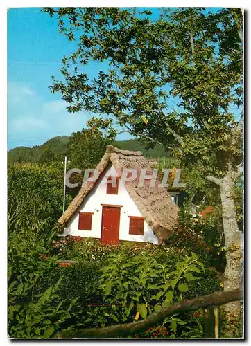 Cartes postales moderne Madeira Casa tipica de Santana