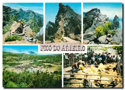 Cartes postales moderne Madeira Pico do Ariera