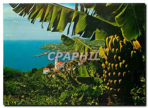 Cartes postales moderne Funchal Madeira Vista Oeste