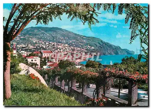 Cartes postales moderne Funchal Madeira Vista Leste