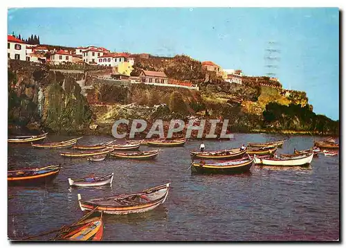 Moderne Karte Camara de Lobos Baia